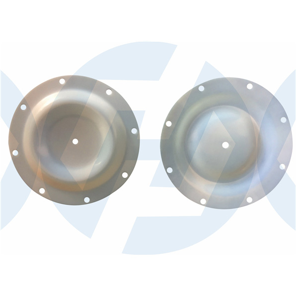 QBY3-50Diaphragm
